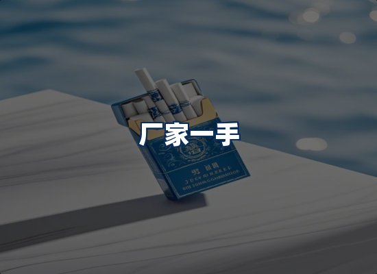 专业团队办公环境
